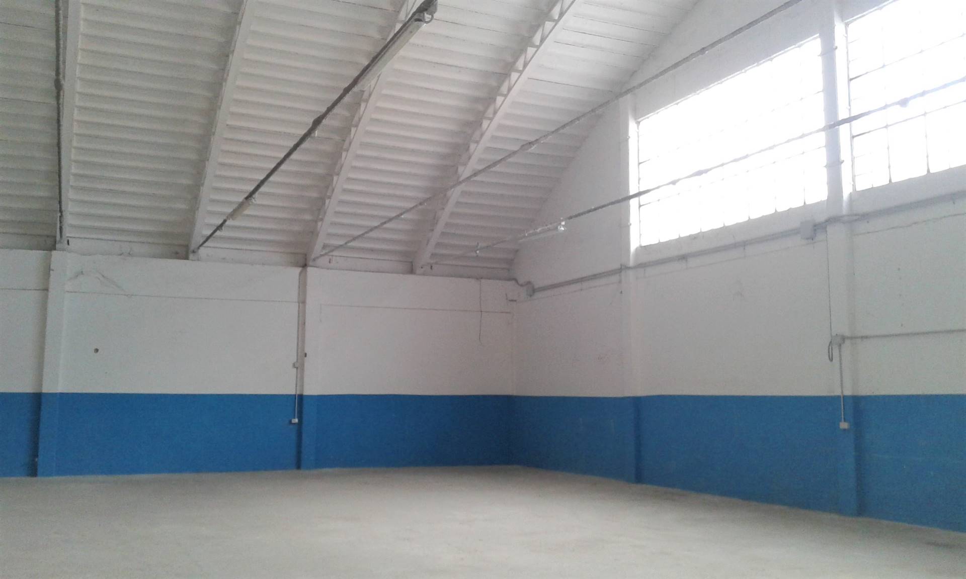 Capannone Commerciale LIVORNO vendita  Salviano  Royal Immobiliare Professional S.a.S.