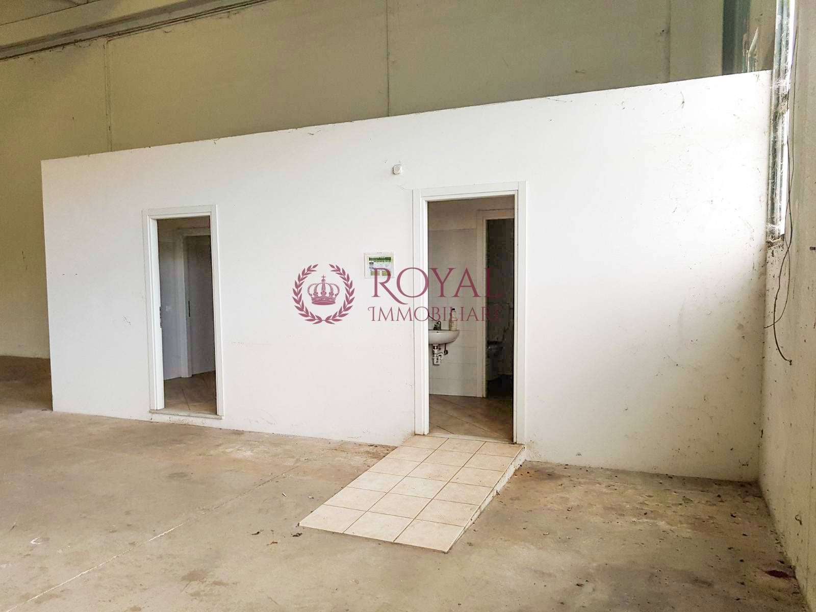 Capannone Commerciale PISA vendita  Ospedaletto  Royal Immobiliare Professional S.a.S.