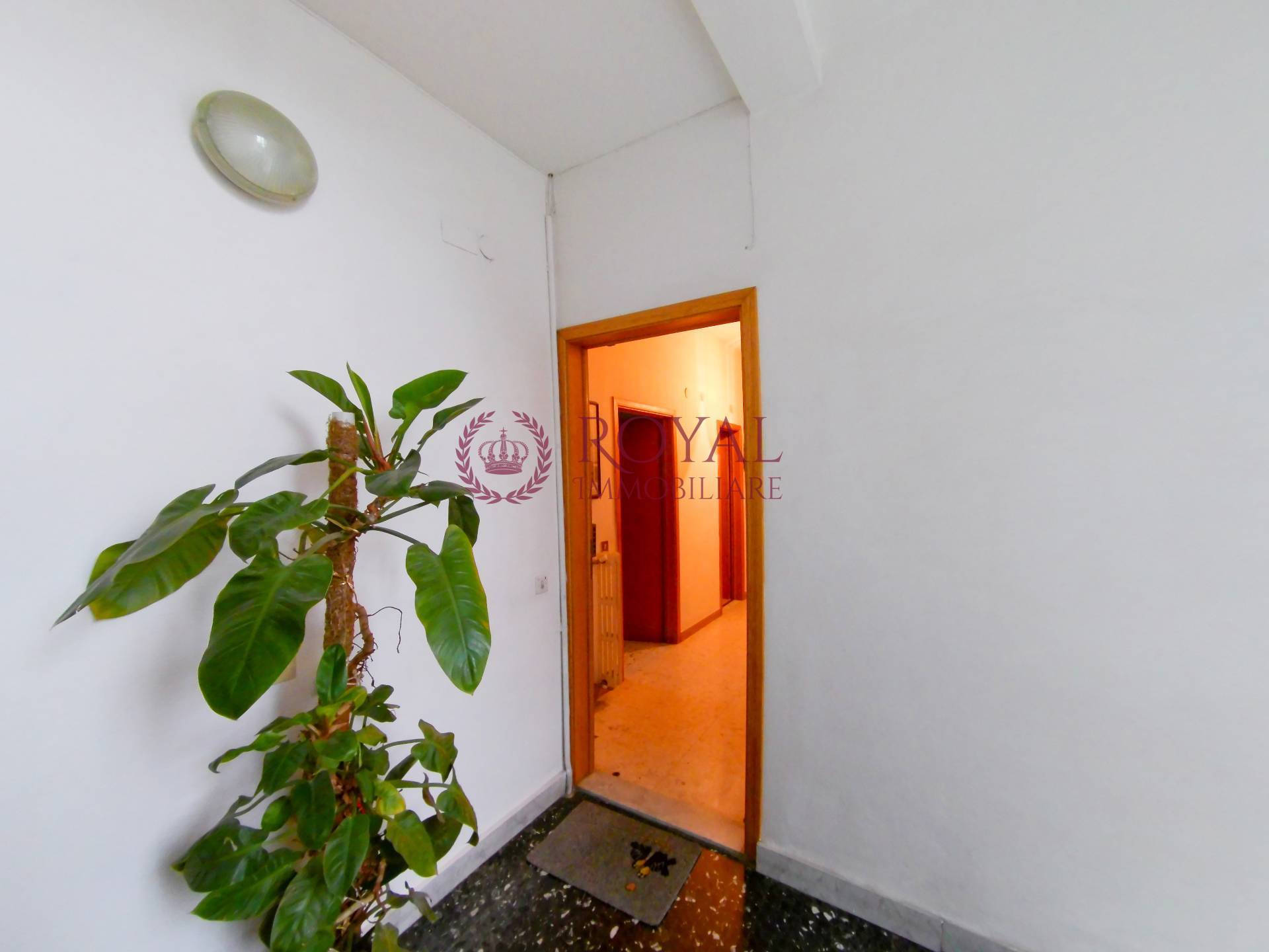 Appartamento LIVORNO vendita  Stagno  Royal Immobiliare Professional S.a.S.