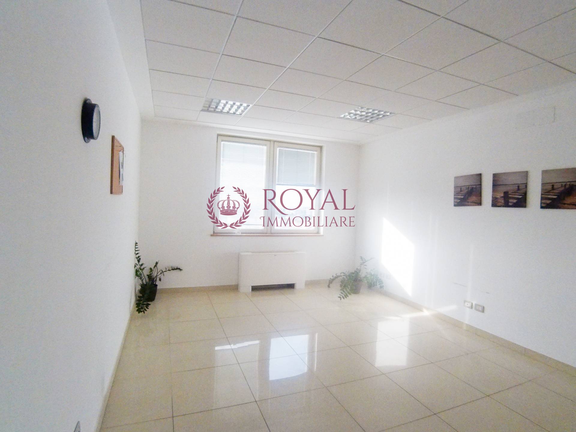  livorno affitto quart: porta a terra royal-immobiliare-professional-s.a.s.