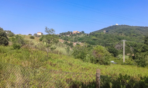 Terreno Agricolo in Vendita a Livorno