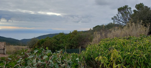 Terreno Agricolo in Vendita a Livorno