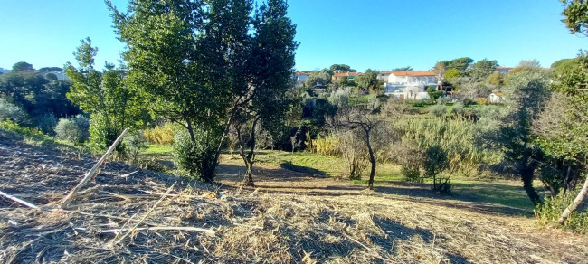 Terreno Agricolo in Vendita a Livorno