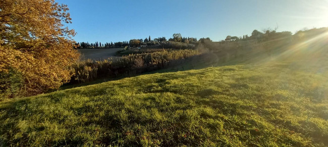 Terreno Agricolo in Vendita a Rosignano Marittimo