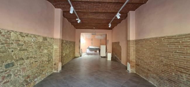 Locale commerciale in Affitto a Collesalvetti