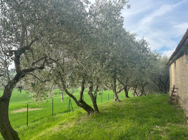 Casale in vendita a Monte San Giusto
