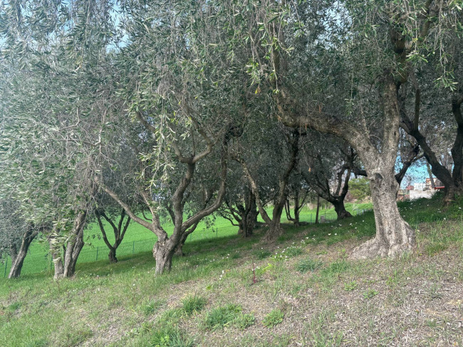 Casale in vendita a Monte San Giusto