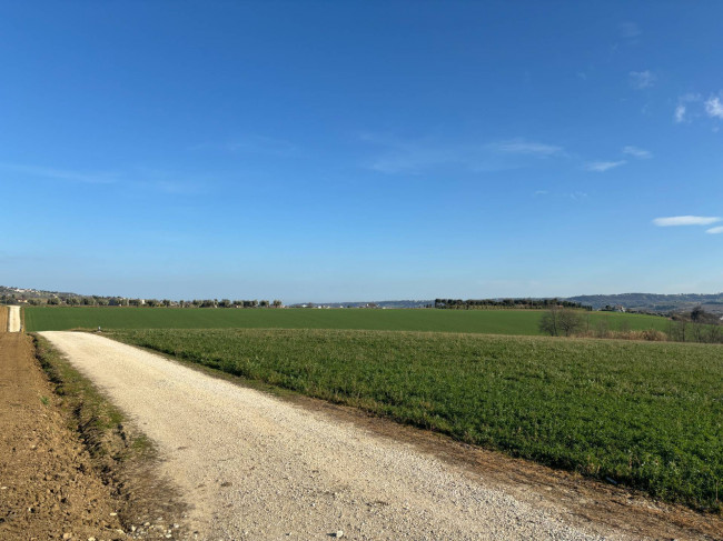 Casale in vendita a Montecosaro