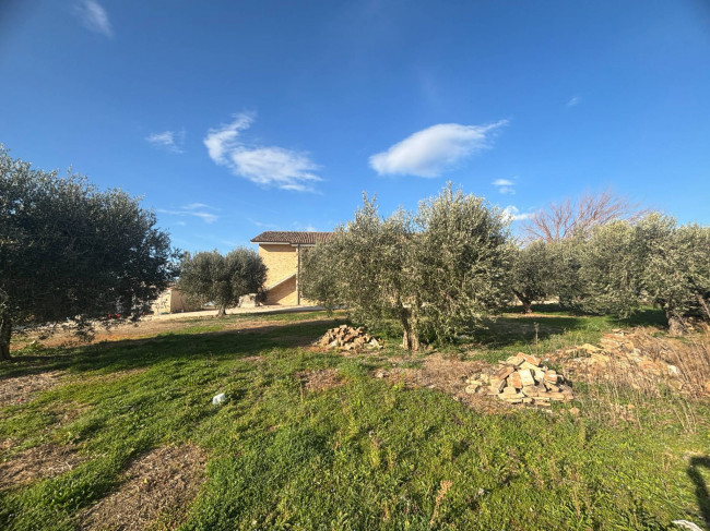 Casale in vendita a Montecosaro