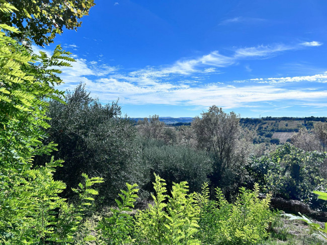 Terreno edificabile in vendita a Civitanova Marche
