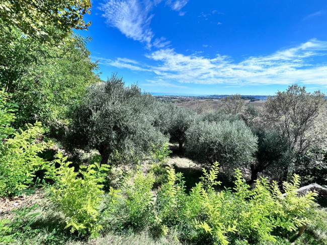 Terreno edificabile in vendita a Civitanova Marche