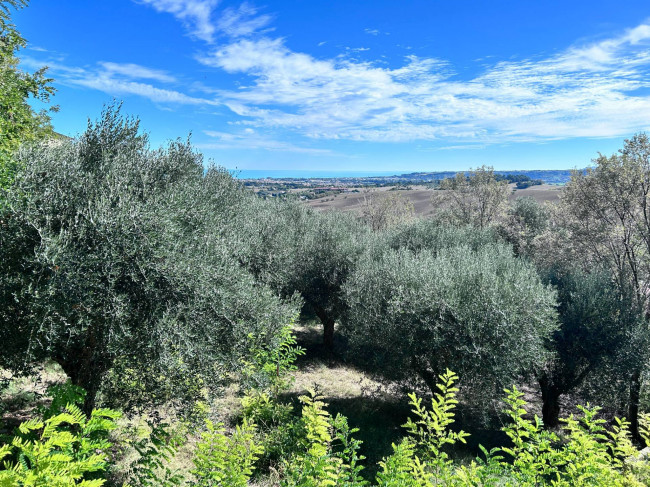 Terreno edificabile in vendita a Civitanova Marche