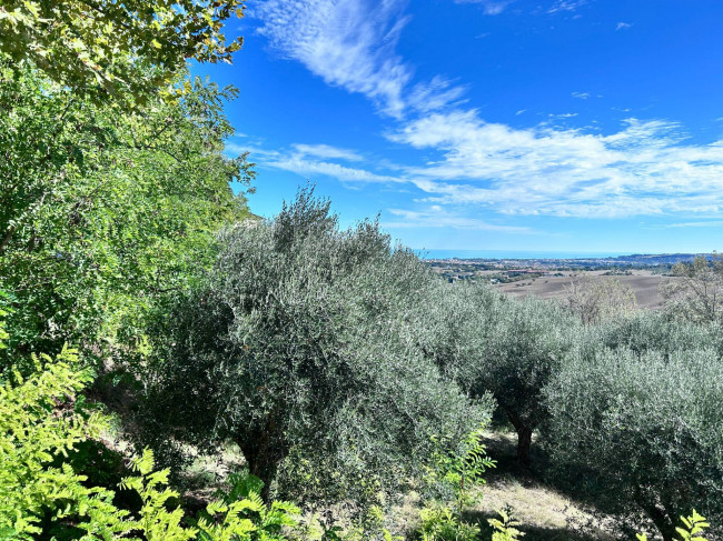 Terreno edificabile in vendita a Civitanova Marche