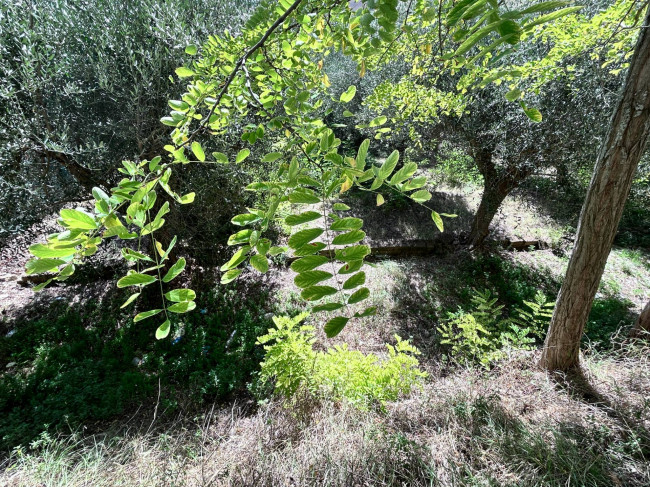 Terreno edificabile in vendita a Civitanova Marche