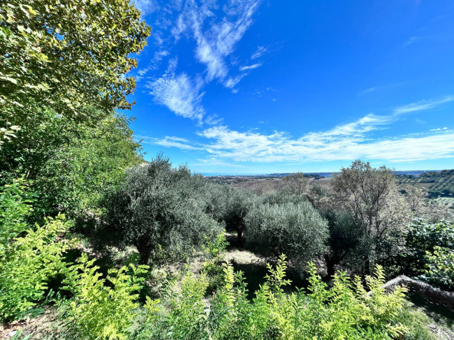 Casa singola in vendita a Civitanova Marche