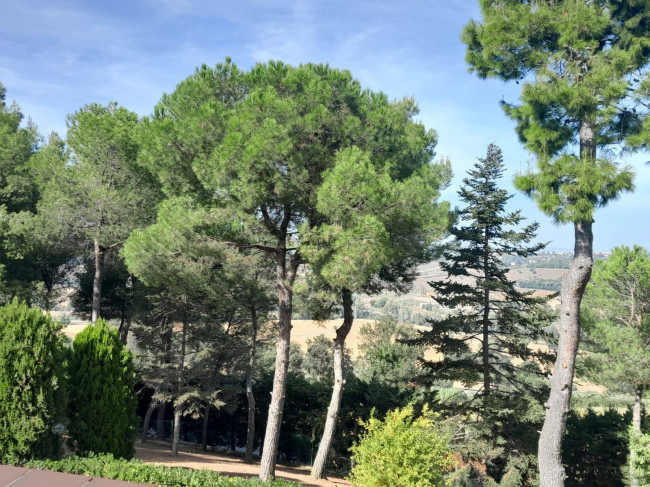 Villetta bifamiliare in vendita a Civitanova Marche