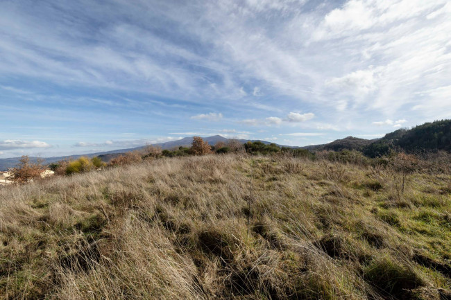 Casa colonica in vendita a Cinigiano