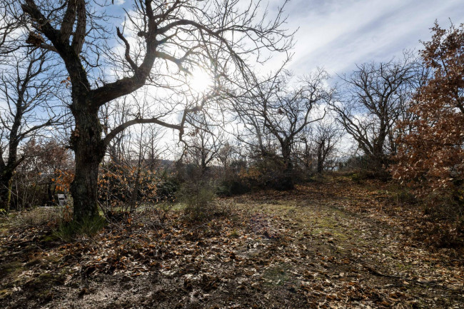 Casa colonica in vendita a Cinigiano