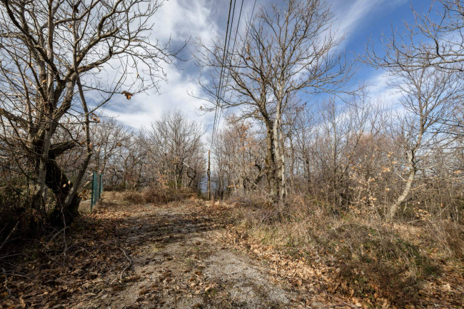 Casa colonica in vendita a Cinigiano