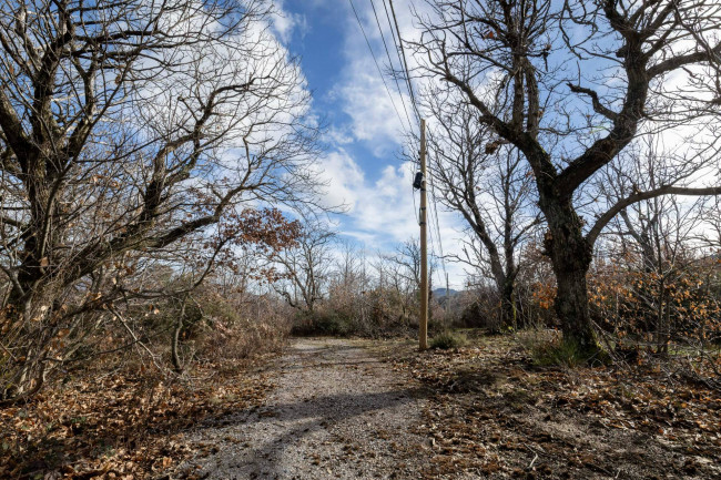 Casa colonica in vendita a Cinigiano