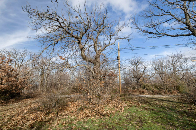 Casa colonica in vendita a Cinigiano