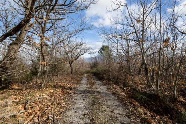 Casa colonica in vendita a Cinigiano