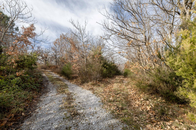 Casa colonica in vendita a Cinigiano