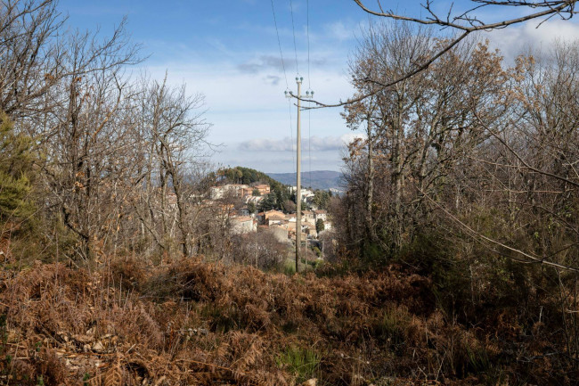 Casa colonica in vendita a Cinigiano