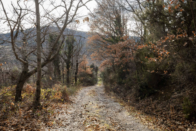 Casa colonica in vendita a Cinigiano