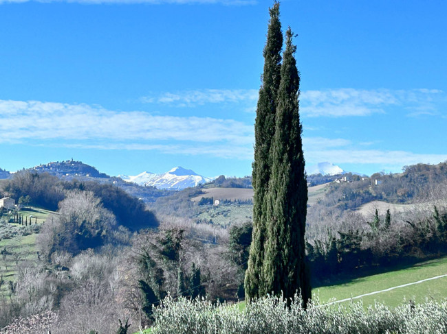Casa singola in vendita a Monte Rinaldo