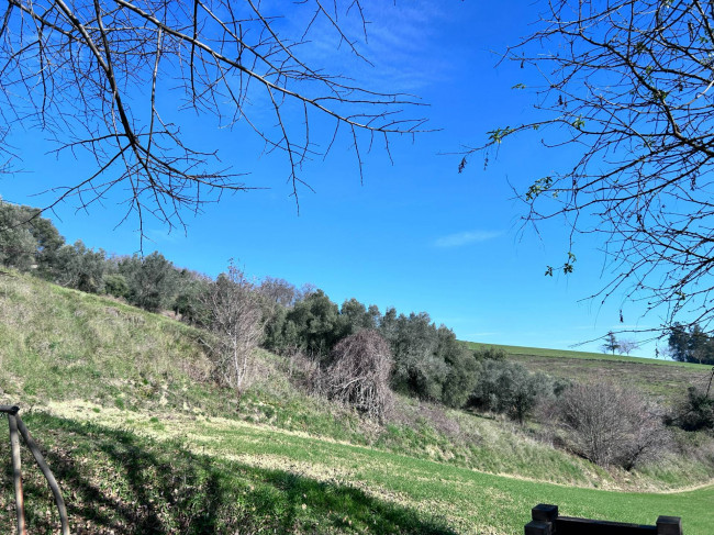 Casa singola in vendita a Monte Rinaldo