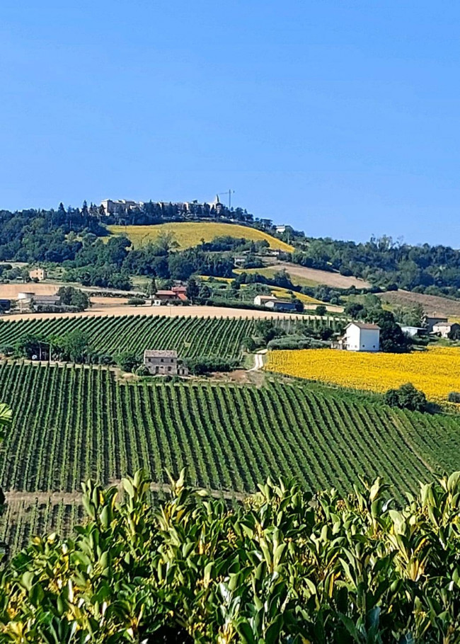Casa singola in vendita a Monte Rinaldo