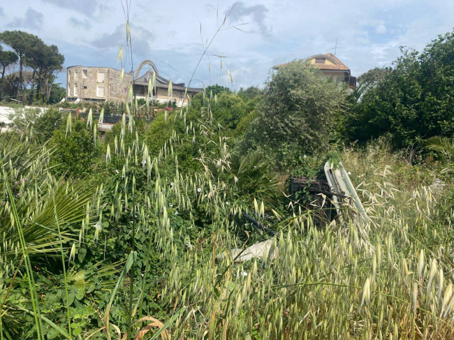 Terreno edificabile in vendita a Nettuno