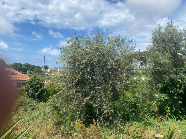 Terreno edificabile in vendita a Nettuno