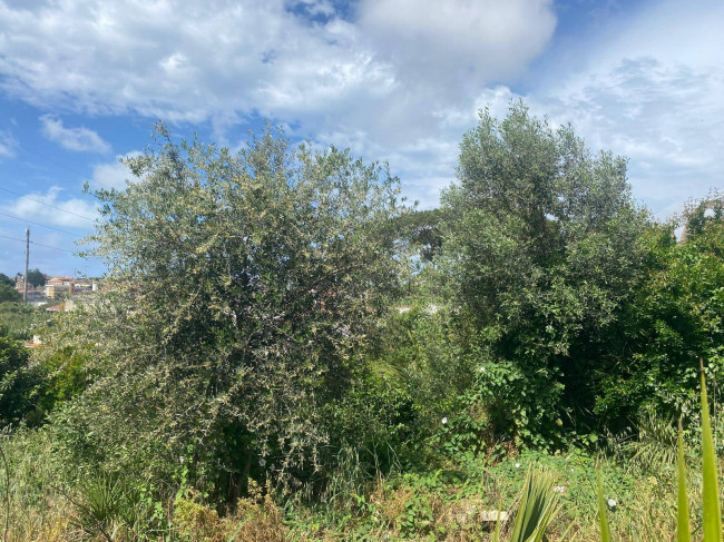 Terreno edificabile in vendita a Nettuno
