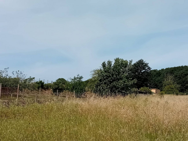 Terreno Agricolo in vendita a Nettuno