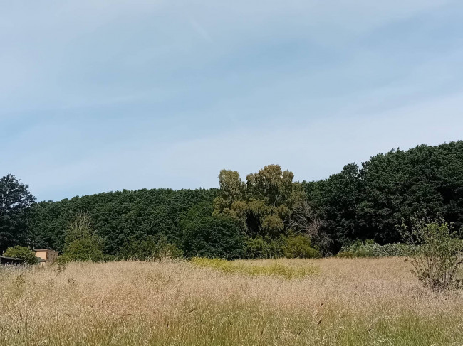 Terreno Agricolo in vendita a Nettuno