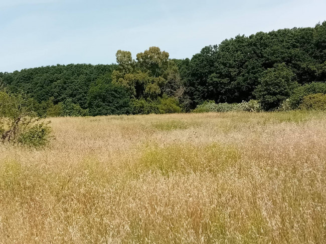 Terreno Agricolo in vendita a Nettuno