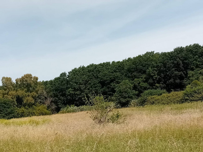 Terreno Agricolo in vendita a Nettuno