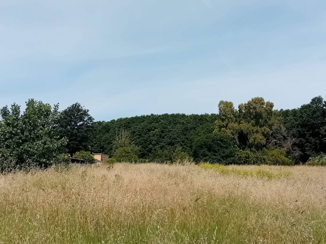 Terreno Agricolo in vendita a Nettuno
