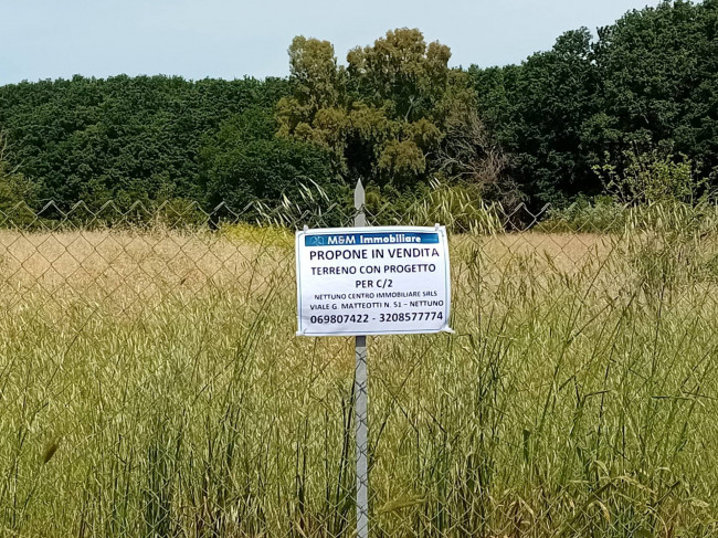 Terreno Agricolo in vendita a Nettuno