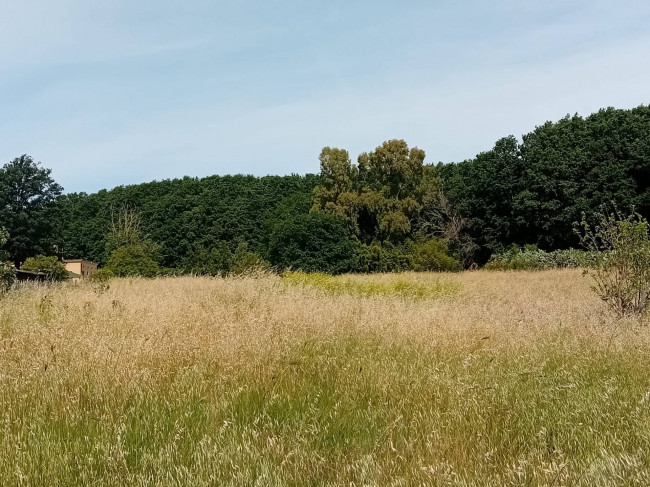 Terreno Agricolo in vendita a Nettuno