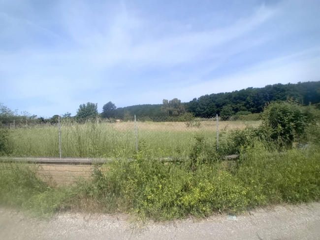 Terreno Agricolo in vendita a Nettuno