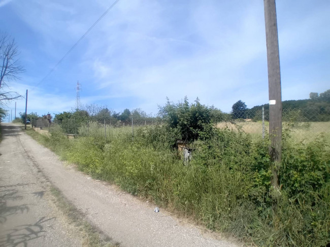 Terreno Agricolo in vendita a Nettuno