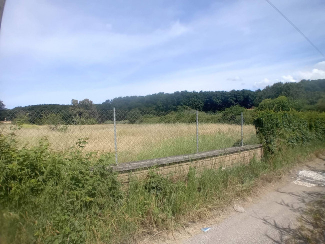 Terreno Agricolo in vendita a Nettuno