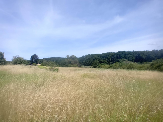 Terreno Agricolo in vendita a Nettuno