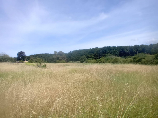 Terreno Agricolo in vendita a Nettuno