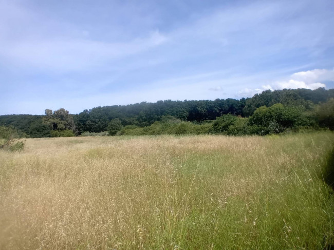 Terreno Agricolo in vendita a Nettuno
