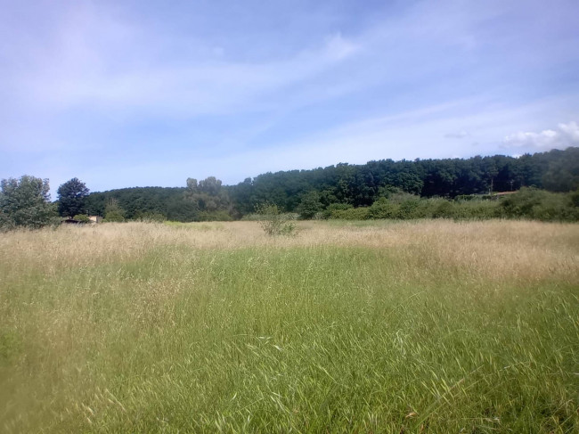 Terreno Agricolo in vendita a Nettuno