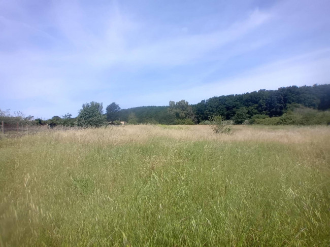 Terreno Agricolo in vendita a Nettuno